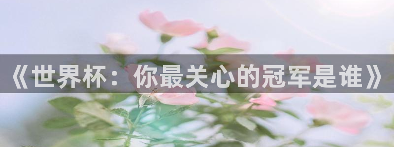 葡萄牙世界杯赛程：《世界杯：你最关心的冠军是谁》