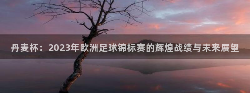 世界杯欧洲预选赛赛程：丹麦杯：2023年欧洲足球锦标赛的辉煌战绩与未来展望