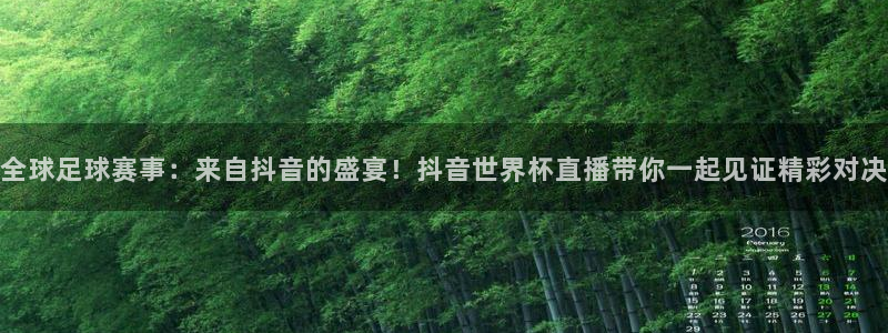 2026世界杯官网入口：全球足球赛事：来自抖音的盛宴！抖音世界杯直播带你一起见证精彩对决