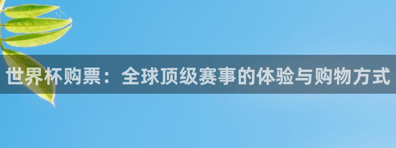 世界杯预选赛：世界杯购票：全球顶级赛事的体验与购物方式