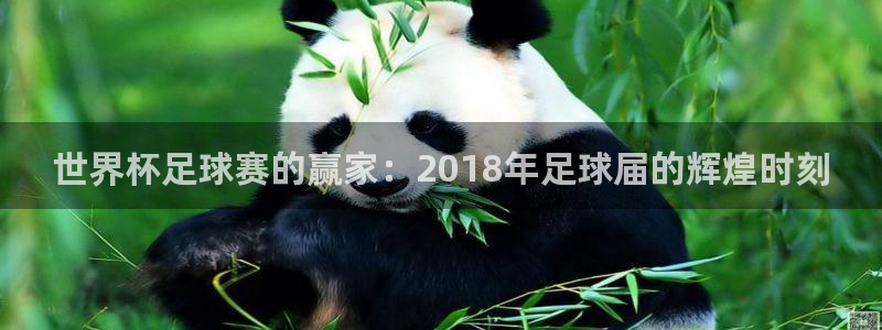 足球世界杯赛程：世界杯足球赛的赢家：2018年足球届的辉煌时刻