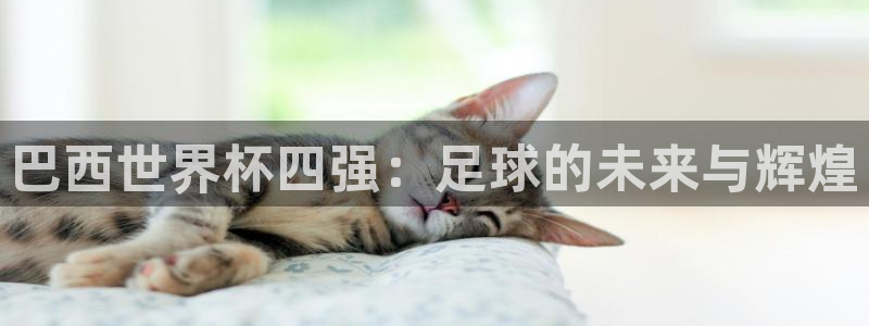 世界杯赛程时间表：巴西世界杯四强：足球的未来与辉煌