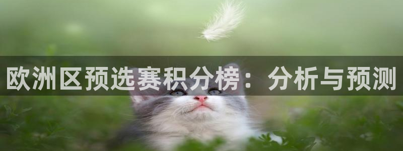 世界杯官网：欧洲区预选赛积分榜：分析与预测