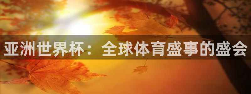 世界杯附加赛赛程表：亚洲世界杯：全球体育盛事的盛会