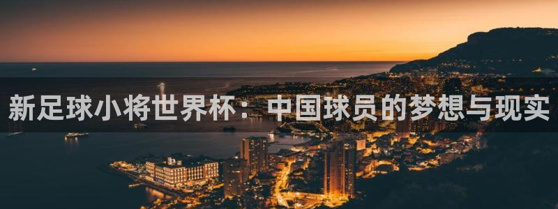世界杯对阵图2026：新足球小将世界杯：中国球员的梦想与现实