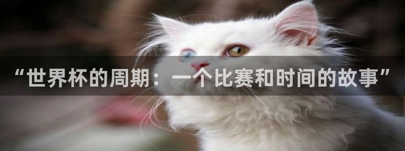 2026世界杯预选赛：“世界杯的周期：一个比赛和时间的故事”