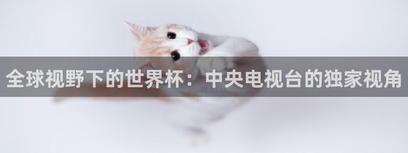 世预赛免费直播入口：全球视野下的世界杯：中央电视台的独家视角