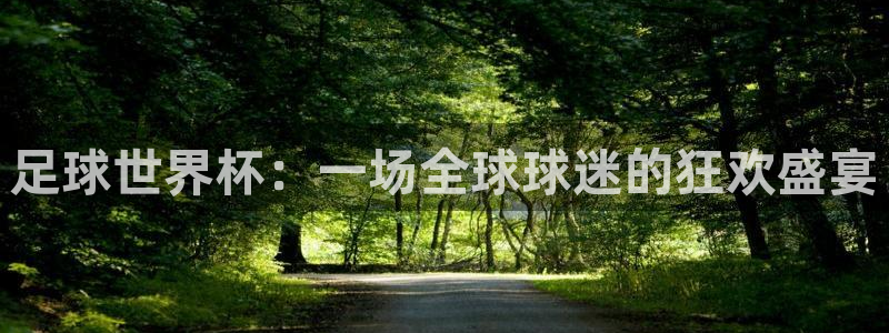 世界杯欧洲区赛程：足球世界杯：一场全球球迷的狂欢盛宴